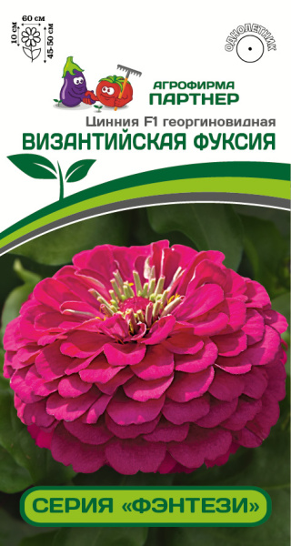 Партнер Цинния F1 ВИЗАНТИЙСКАЯ ФУКСИЯ / георгиновидная ^(4шт) , изображение 0