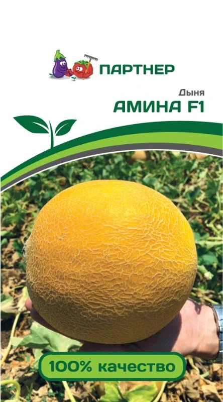 Партнер Дыня АМИНА F1 ^(5шт), изображение 0