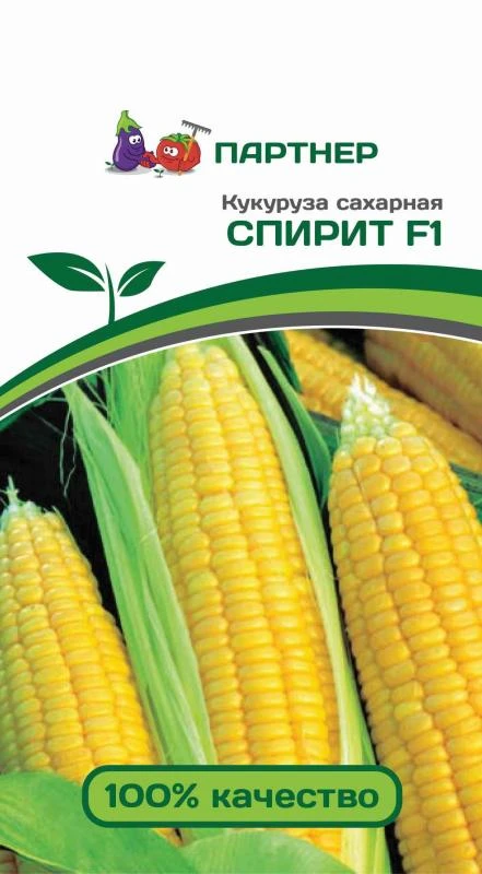 Партнер Кукуруза сахарная СПИРИТ F1 ^(3г), изображение 0