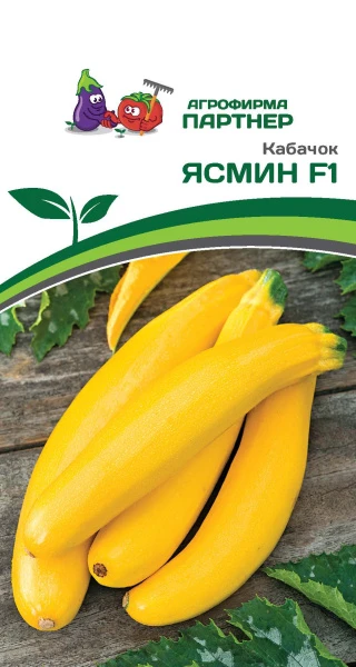 Партнер Кабачок ЯСМИН F1 ^(5шт), изображение 0