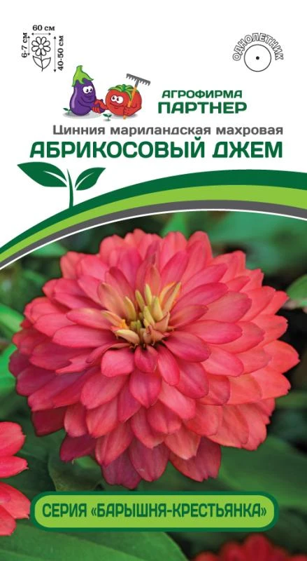 Партнер Цинния АБРИКОСОВЫЙ ДЖЕМ / мариландская махровая ^(5шт)